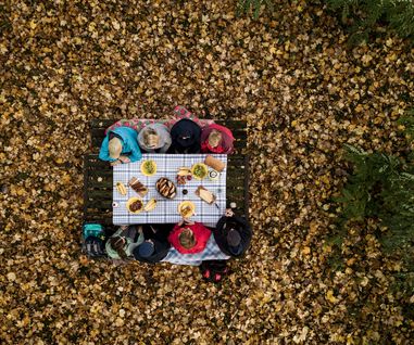 Picknick im Herbstwald©Johannes Glöggler Gruppe macht Picknick im Herbstwald. Bild aus Vogelperspektive.