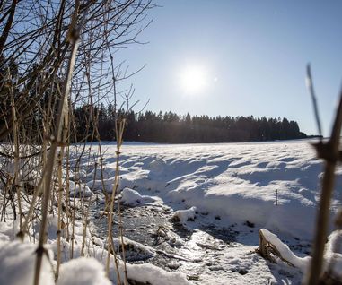 Winterlandschaft in Matzenhofen (Gemeinde Unterroth) Winterlandschaft in Matzenhofen (Gemeinde Unterroth)
