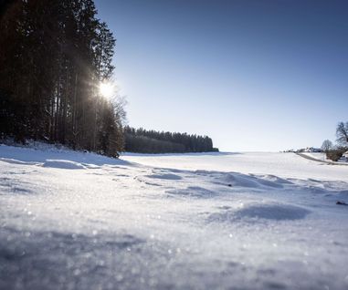 Winterlandschaft in Matzenhofen (Gemeinde Unterroth) Winterlandschaft in Matzenhofen (Gemeinde Unterroth)